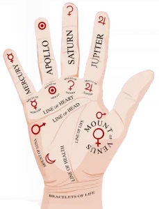 how-to-read-palms-all-signs